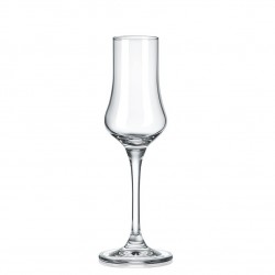 Pohár na alkohol/grappa 100...